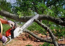 Best Stump Grinding and Removal  in Geistown, PA